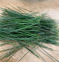 Pine Needle Tea